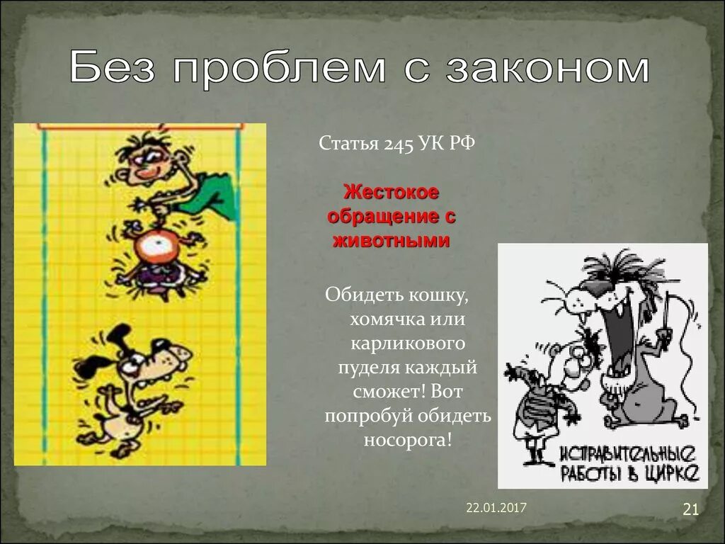 Что обозначает статья 245. 245 Статья УК. Статья по жестокому обращению с животными. Ст 245 УК РФ. 245 УК РФ жестокое обращение с животными.