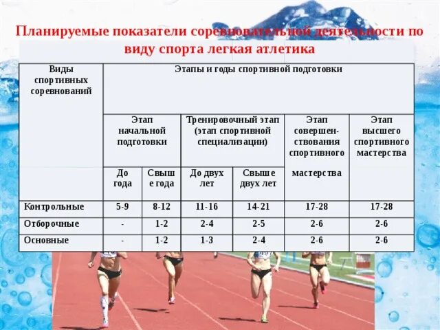 Учет спортивная организация