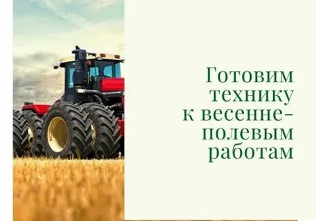 Задачи полевых работ