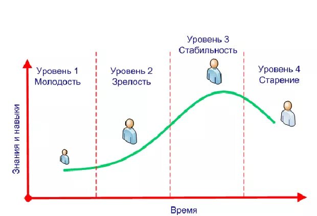 Жизненный цикл человека. Стадии жизненного цикла персонала. Этапы жизненного цикла сотрудника. Жизненный цикл сотрудника в компании. Жизненный цикл сотрудника в организации 5 этапов.