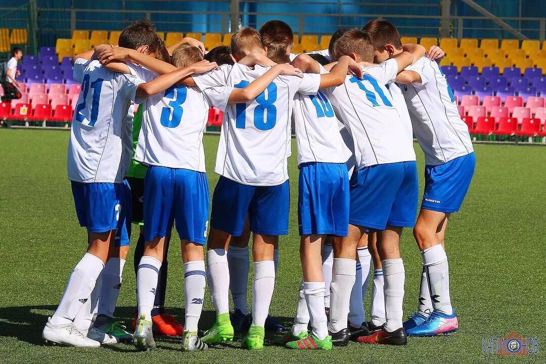 Сфф центр черноземье. Сфф центр черноземье