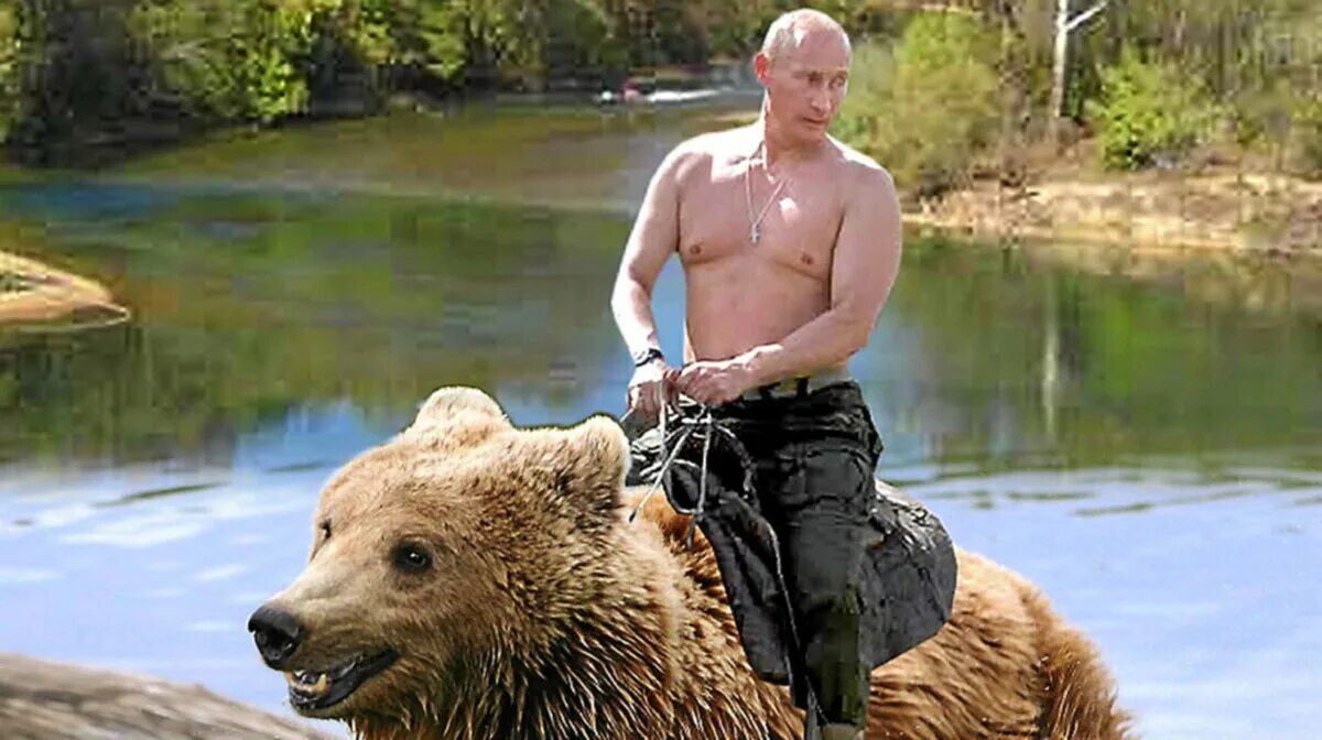 Russia is a bear