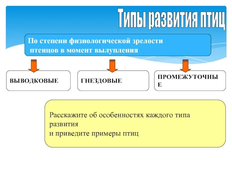 Типы развития птиц выводковые гнездовые. Характеристика птенцов выводковых птиц. Птенцовые и выводковые птицы различия. Типы развития птенцов таблица. Типы развития птиц.