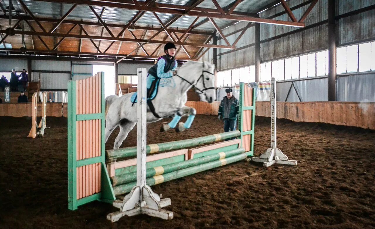 ДЮСШ Казань конный спорт. Конно спортивная школа Казань. Конноспортивная школа Казань. Школы конного спорта в Казани.