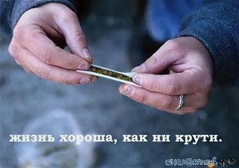 И как ты ту не крути. Жизнь хороша как не крути. жизнь прекрасна как не крути. жизнь хороша как ни крути.