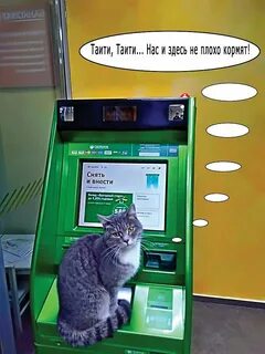 Банкомат пойдем
