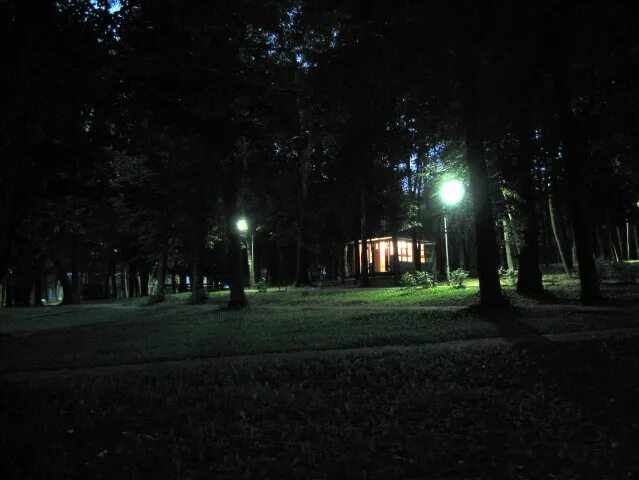 Детский лагерь страшилки. Какие ночи в лагерях. Лагерь ночью. Дети у костра в лагере. Какие ночи в лагерях.