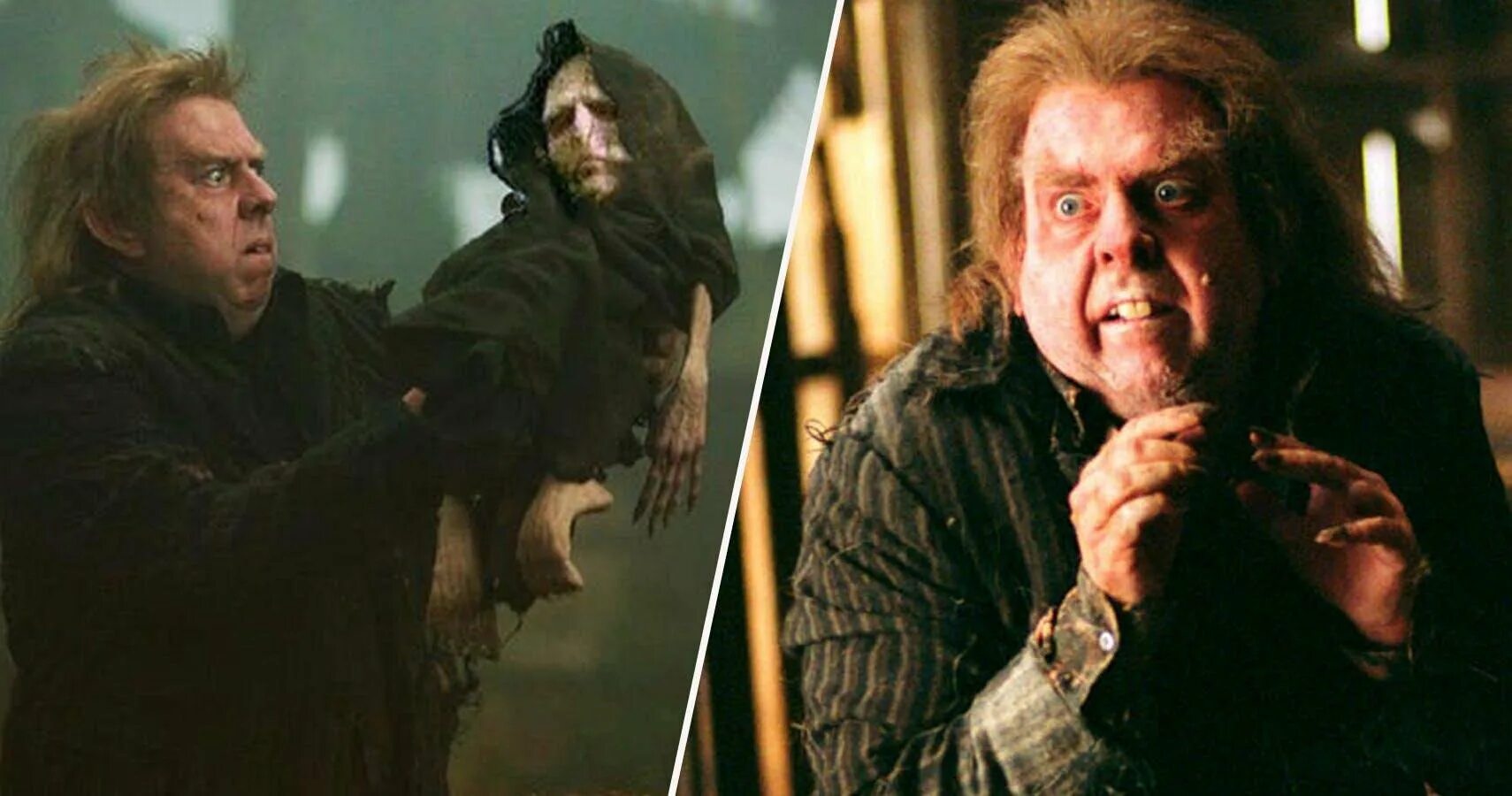 Крыса из поттера. Короста питер петтигрю. Питер петтигрю пожиратель смерти. Крыса питер петтигрю короста. Крыса питер петтигрю короста.