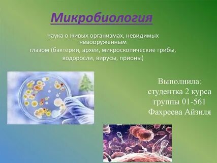 Какая наука изучает микроорганизмы