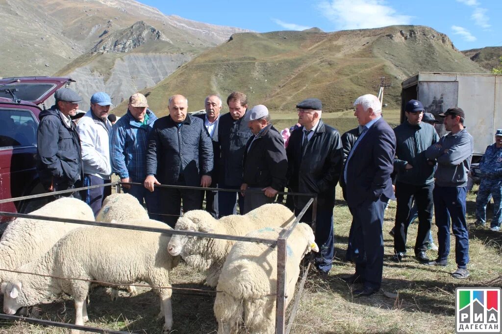 Погода вихли. Село Кая Кулинский район Республика Дагестан. Село Хосрех Кулинский район. Село кани Кулинского района Республики Дагестан. Село Вихли Дагестан.