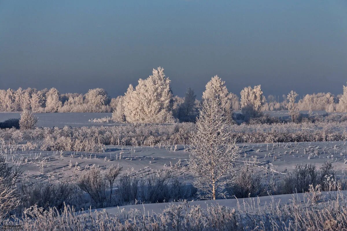 красивая зима. стоит ясный зимний денек я смотрю. диктант синички. морозный зимний лес. зимний день.