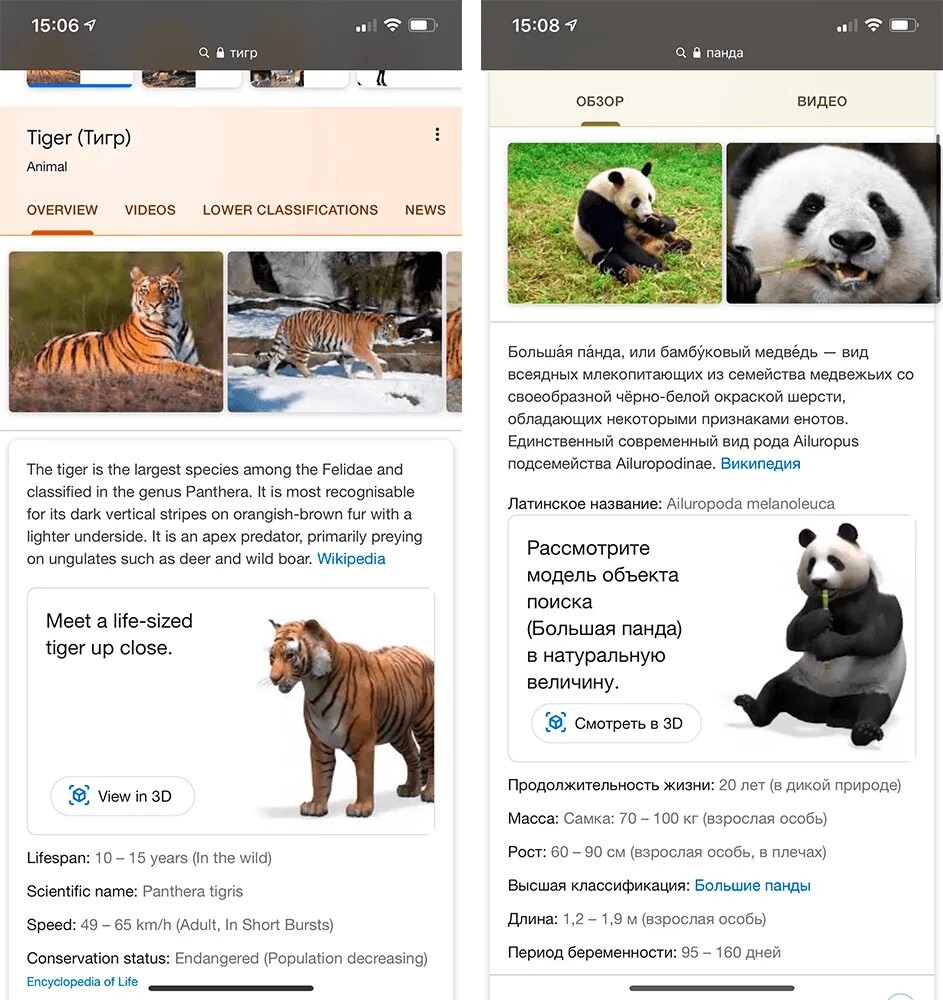 Animals программа