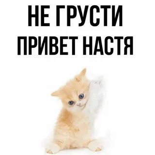 Анечки привет