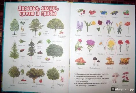 Мир вокруг меня английский язык 2 класс