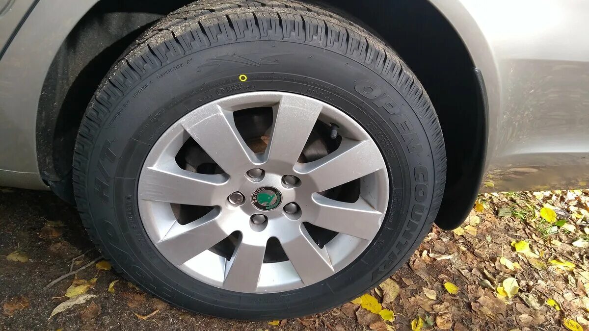 Шкода а5 размер шин. Octavia 21560 r16. 21565 r16 octavia a5. 205 65 r16 octavia tour. 21560 r16 на шкода октавия а5.