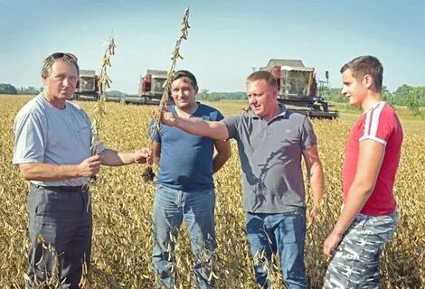 Новая жизнь воронежская область