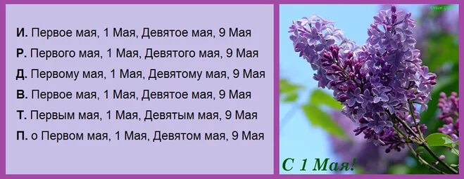 Склонение 1 мая. 1 Травня. Дивет мае 9. Май 9 ru