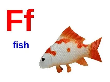 Fish words