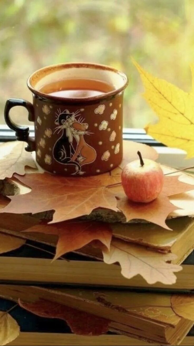 Однажды осенним утром. Доброе осеннее утро. Осенний кофе. Осеннее чаепитие. Чашка кофе осень.