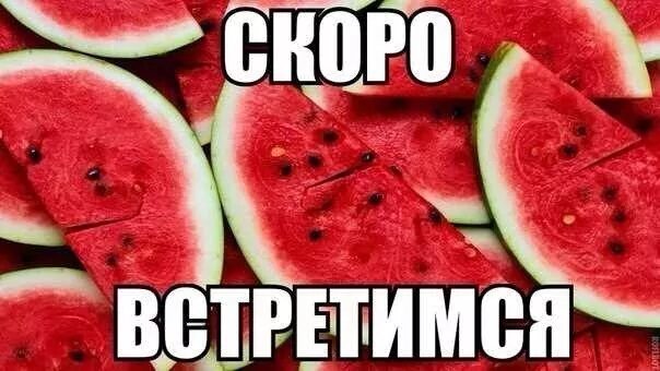 цитаты о любимом человеке который далеко. скоро увидимся. скоро встретимся стихи. надеюсь скоро увидимся. мы скоро увидимся и я обниму тебя.