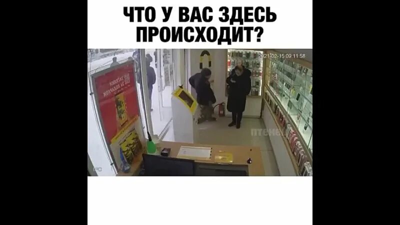 что у вас тут происходит. что тут происходит. что тут происходит картинка. че у вас здесь происходит. что здесь происходит.