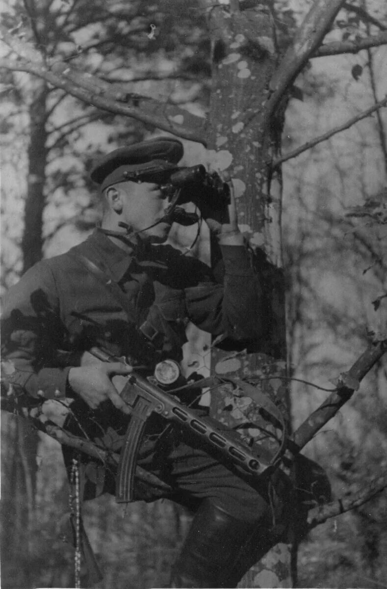 Партизан разведчик. Партизаны разведчики великой отечественной войны. партизаны в разведке. советские партизаны в лесу.