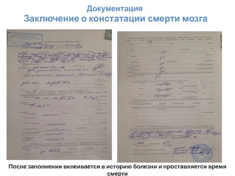 История болезни скорая. Биологическая смерть карта вызова СМП. Констатация биологической смерти карта вызова. Констатация смерти карта вызова скорой. Протокол смерти.