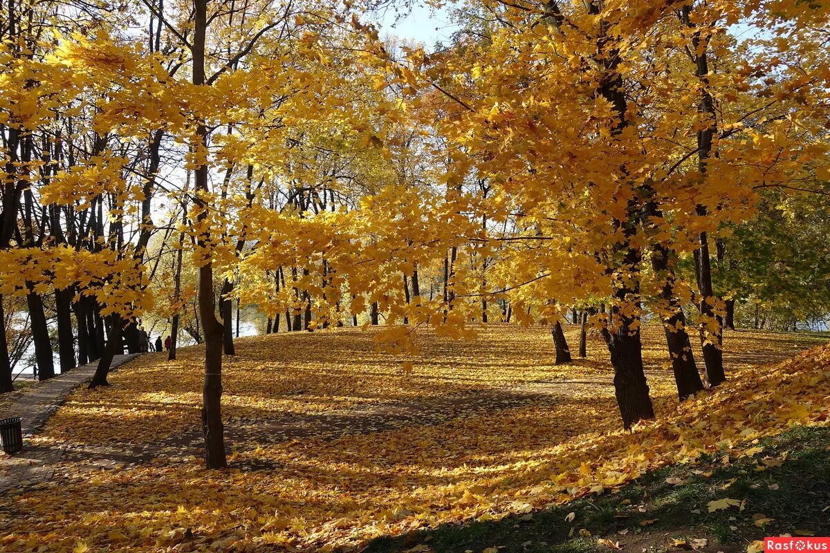 Где сейчас осень. Парк Царицыно осенью. Золотая осень в Царицыно. Москва осень Царицыно. Царицыно осенью 2022.