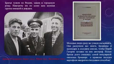 Гуляй брат