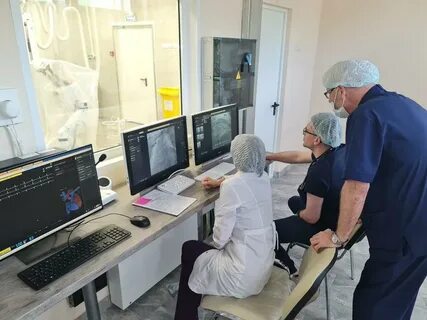 Минздрав сосудистые центры