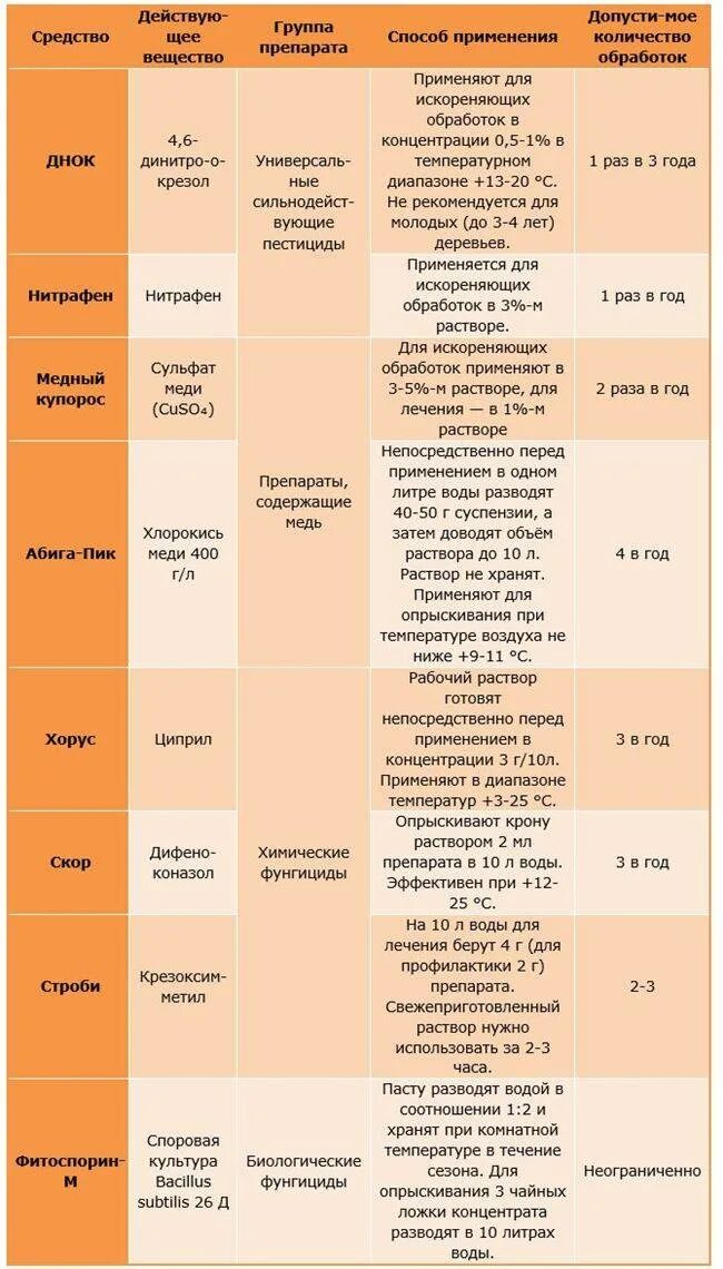 Весенняя обработка персика