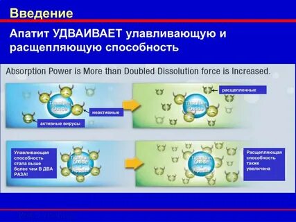 Вирусы активны