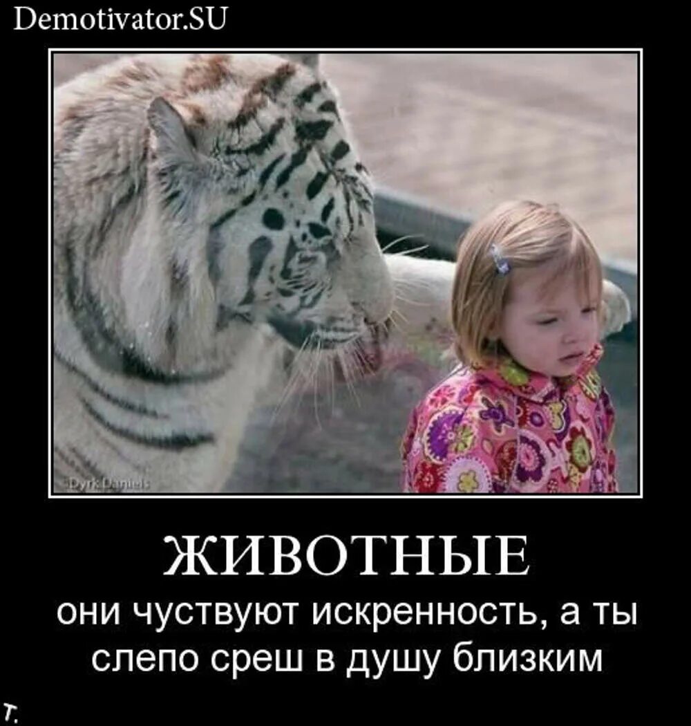 Братик не унывай найдешь. Не унывай картинки. С не унывай.. Демотиватор. Не унывай смешные картинки.