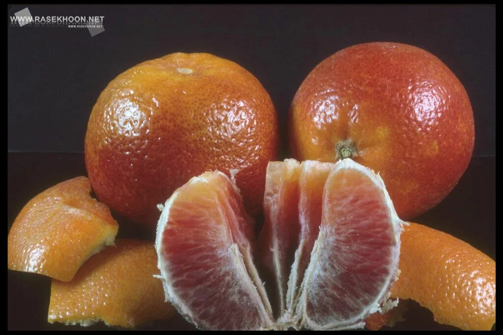 Красный мандарин Сицилийский. Гибрид мандарина и апельсина. Красный апельсин сорт Вашингтон. Померанец гибриды цитрусовых. Апельсин грейпфрут как называется