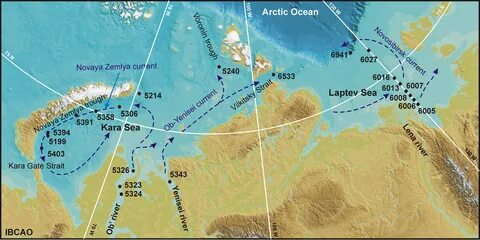 НОВОСТИ НАУКИ И ОБРАЗОВАНИЯ В АРКТИКЕ 