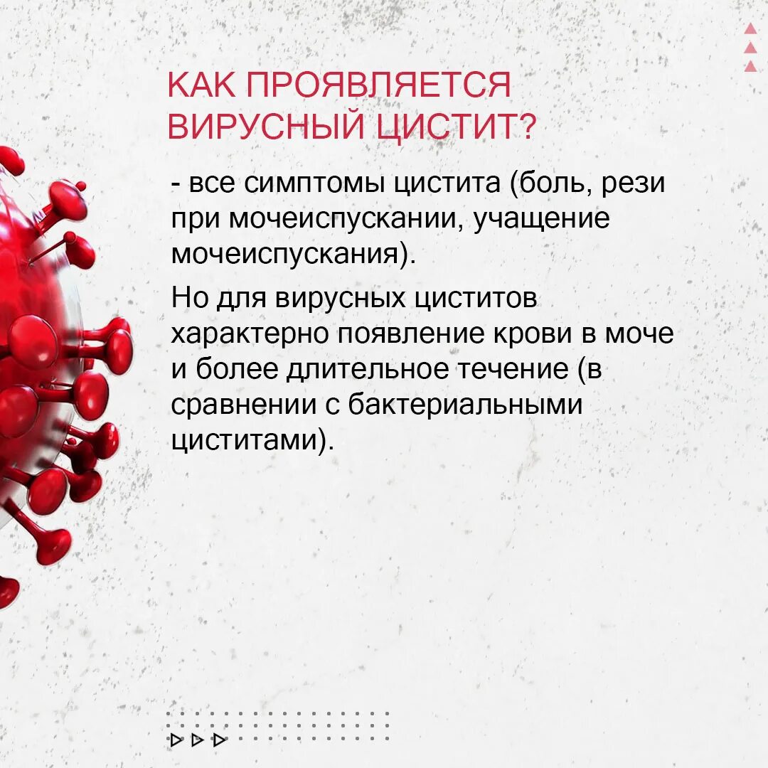 Вирусный цистит. Вирусный цистит. Вирусный цистит. Острый первичный неосложненный цистит. Геморрагический цистит.