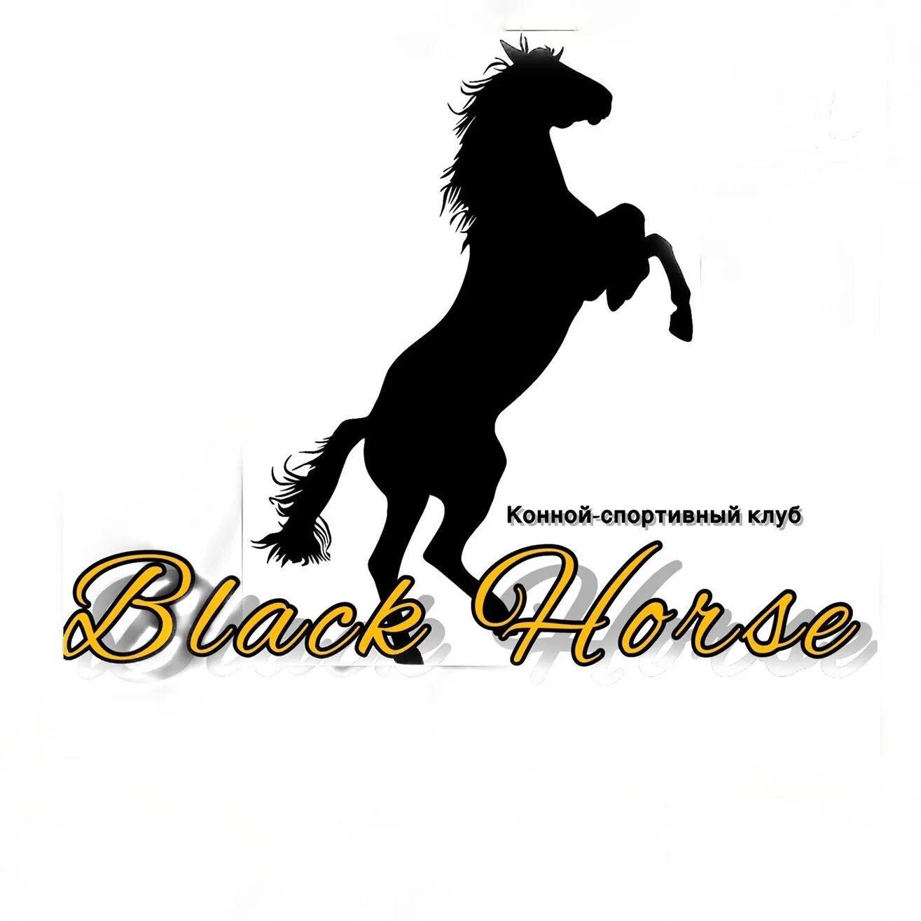 Кск хорс. КСК Блэк Хорс. Значок КСК черный. Black Horse в городе Екатеринбург логотип. Шаблон для текста красивый для текста конный спорт.