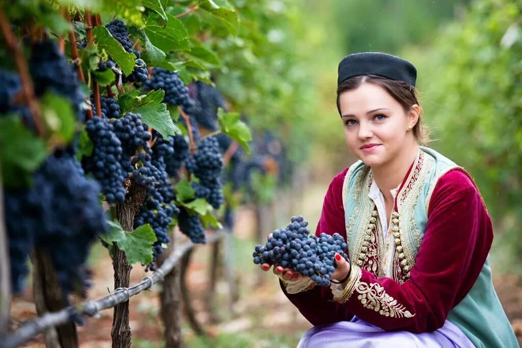 Смуглянка молдаванка костюм. Молдаванка собирает виноград. Педроса фернандо художник картины. Сбор винограда. Самые красивые молдаванки.