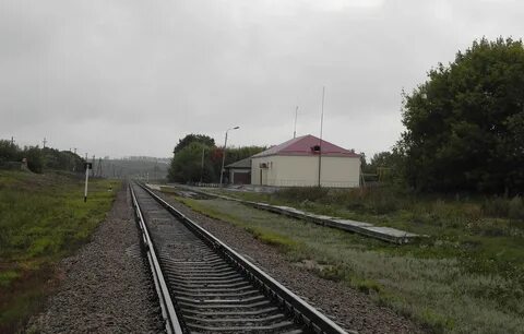 Погода талица елецкая липецкой