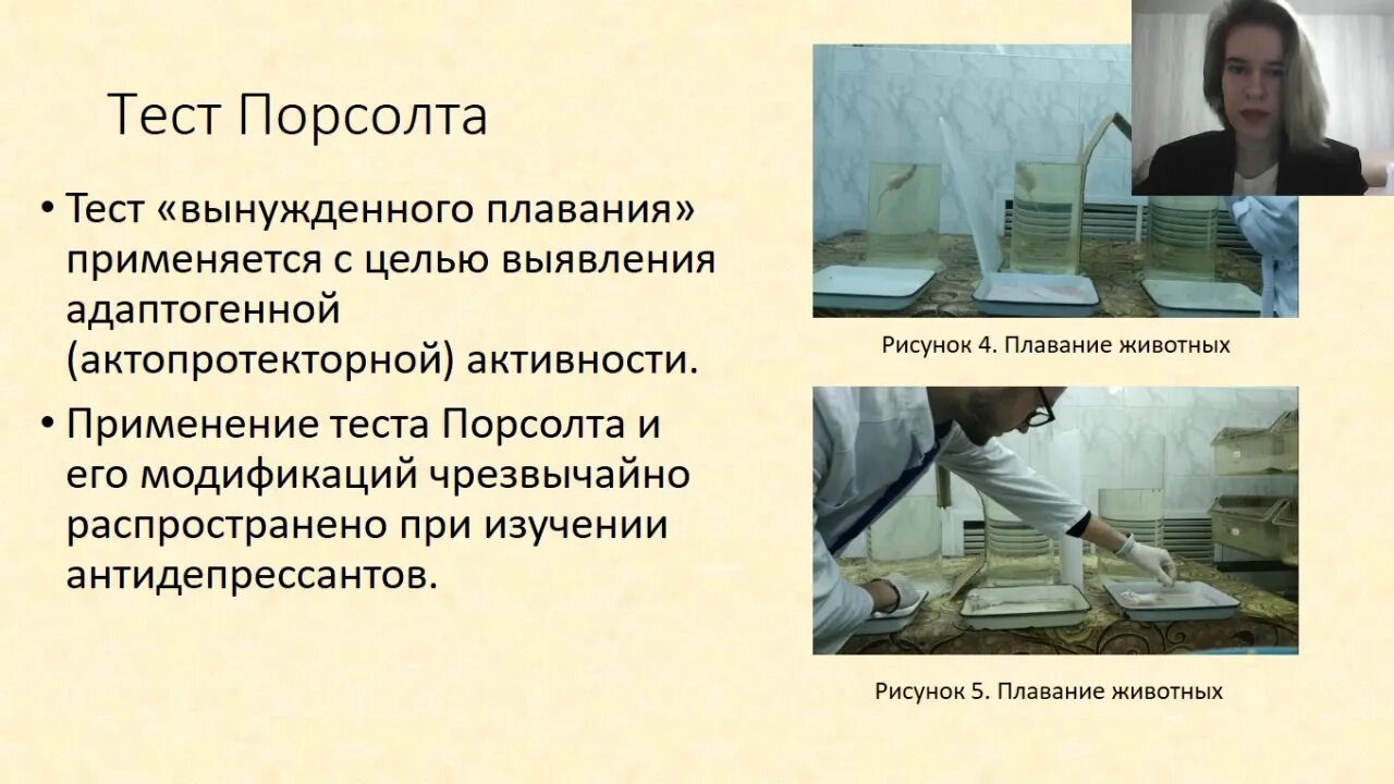 Применение теста. Тест порсолта. тест порсолта методика проведения. тест порсолта основные результаты. применение теста корси.