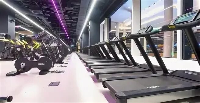 Дд фитнес. Ddx fitness мытищи июнь. Ddx fitness европолис. Ddx fitness беляево. Беговая дорожка ddx fitness.