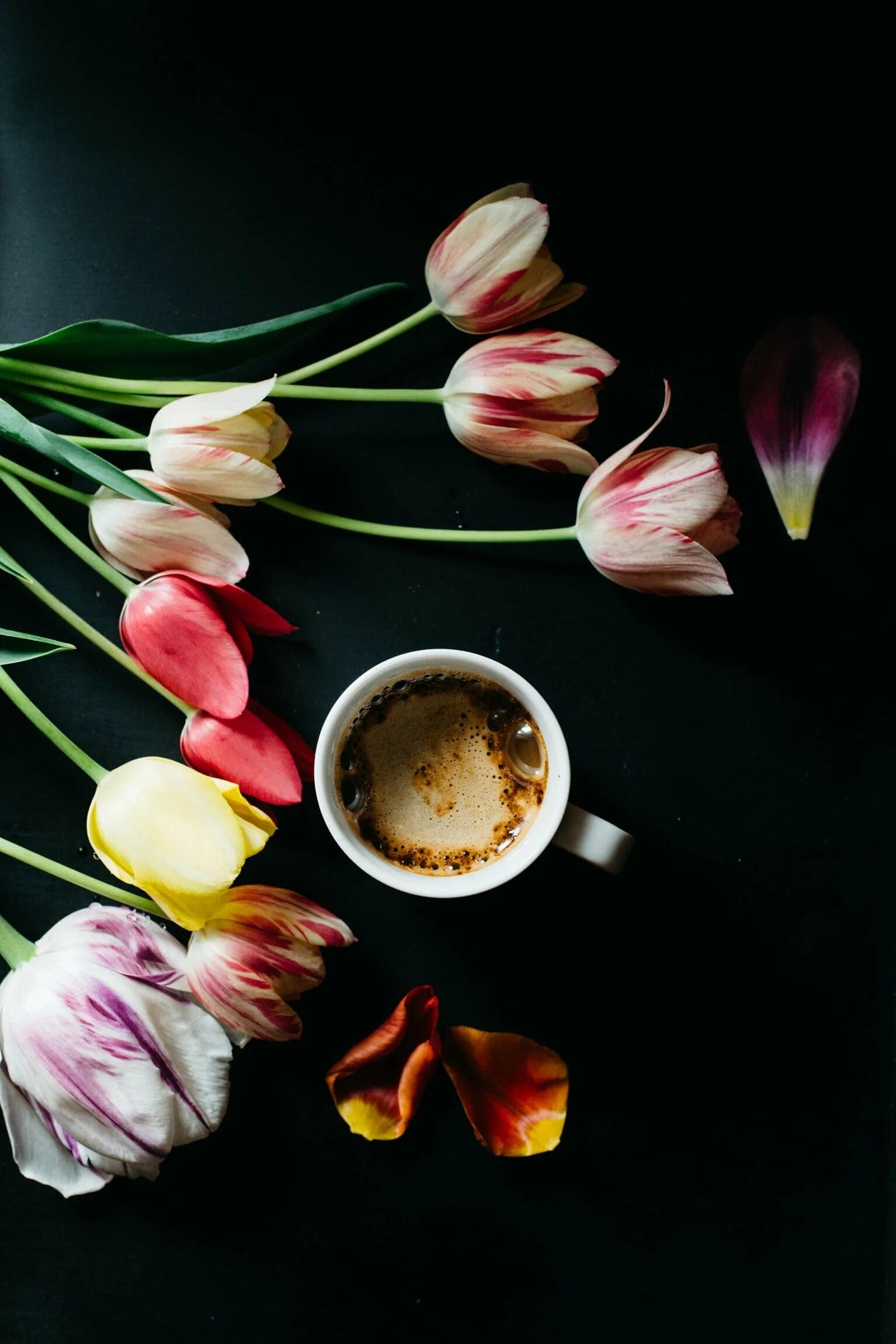 Тюльпаны и кофе. Доброе утро тюльпаны и кофе. Чашка кофе с букетом тюльпанов. Букет тюльпанов и кофе. Кофе и тюльпаны картинки