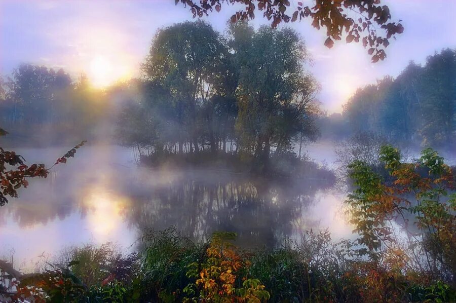 Воздух наполненный тишиной. Туманное утро. Тихое летнее утро. Туман над рекой. Лес в утренней дымке.