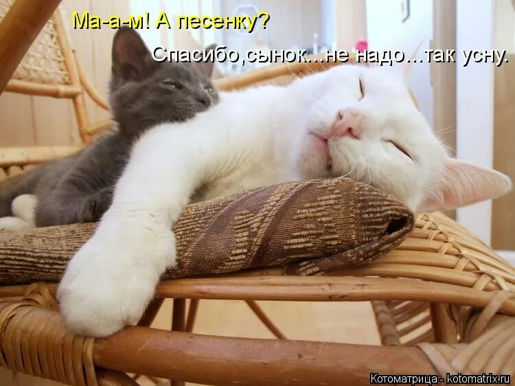 Он и так заснуть
