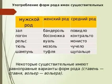 Тюль род число
