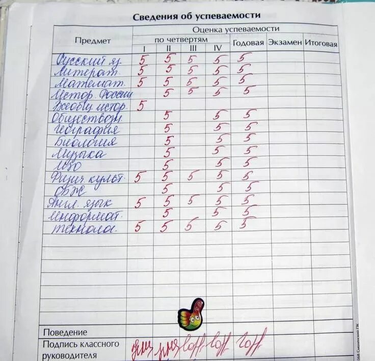 Каким предметам пятерки