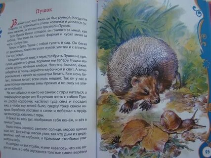 Скребицкий распечатать текст