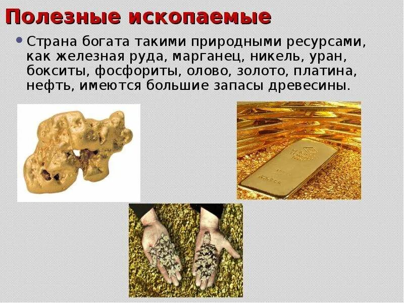 Полезные ископаемые золото. Золото полезное ископаемое. Полезные ископаемые России золото. Полезные ископаемые древесина. Полезное ископаемое золото 3 класс окружающий мир