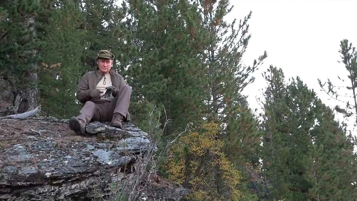 закон тайги 2023 2024