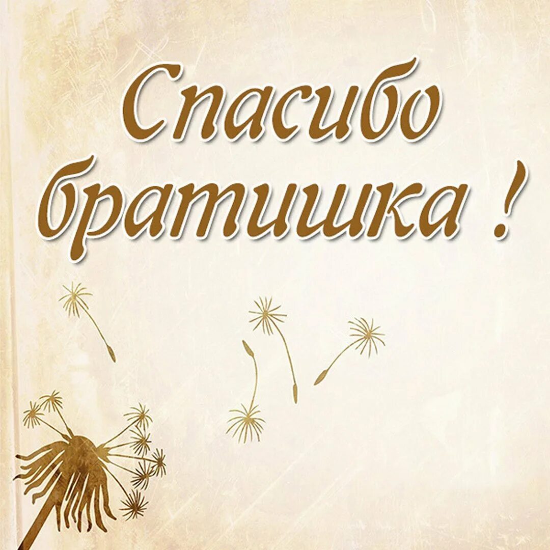 Спасибо за поздравления. Спасибки за поздравления. Спасибо за поздравления картинки. Спасибо зампоздравления.